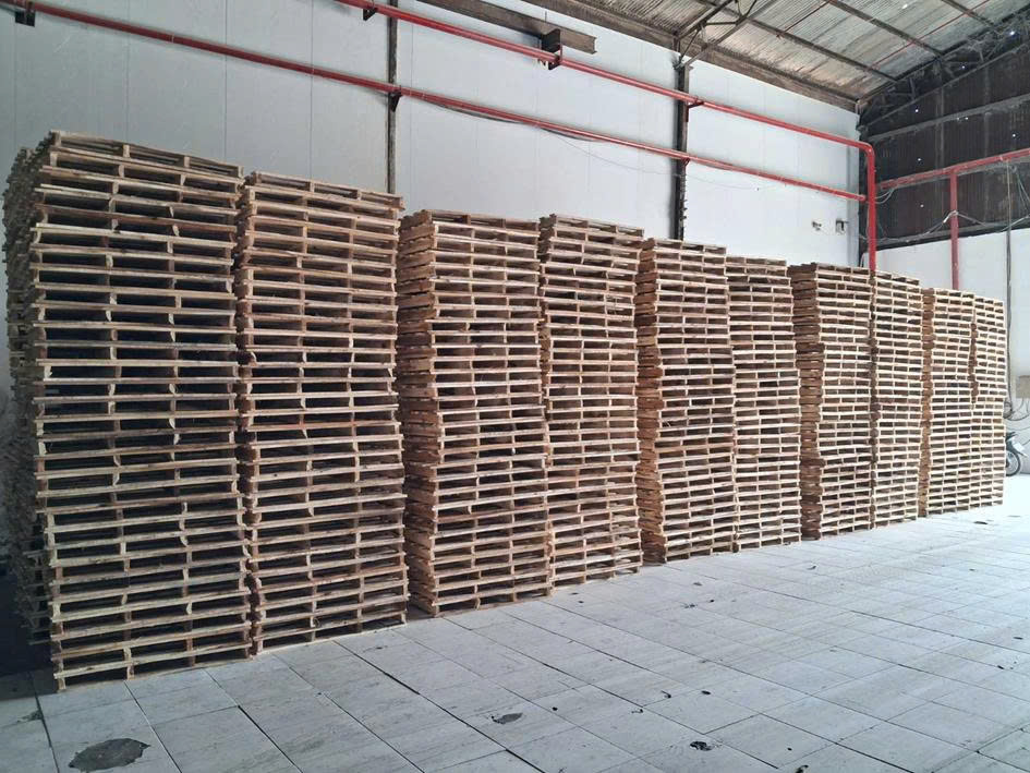 Pallet gỗ tràm